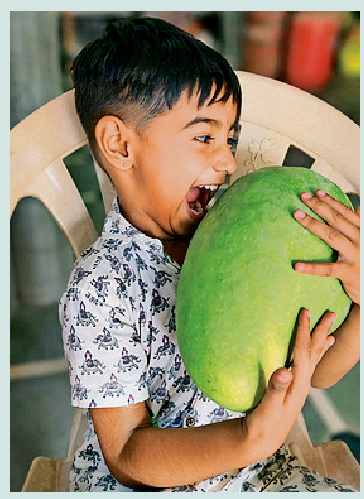naidunia_image